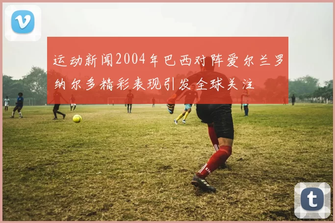 运动新闻2004年巴西对阵爱尔兰罗纳尔多精彩表现引发全球关注
