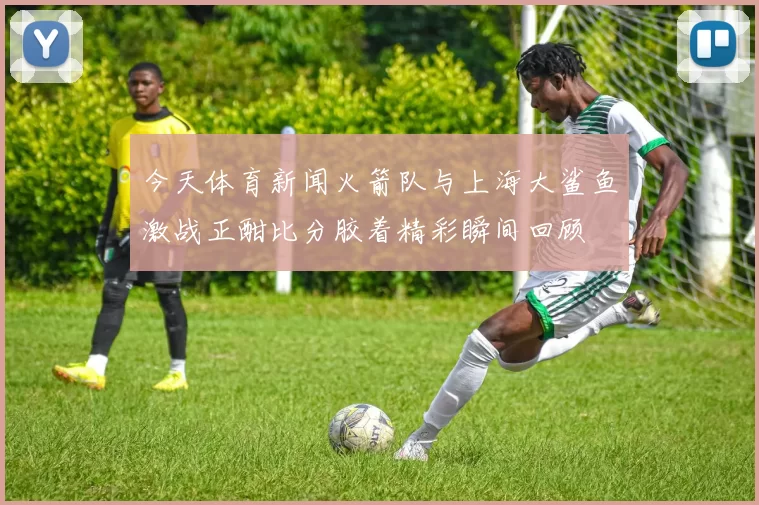 今天体育新闻火箭队与上海大鲨鱼激战正酣比分胶着精彩瞬间回顾